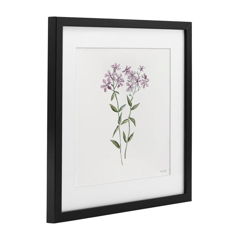 «Mauve Phlox Botanical», reproduction encadrée sous verre, conception de Cindy Jacobs, 13" H x 13" W, Cadre noir minuit