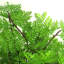 30cm Faux Fern Plant in Pot Liner