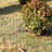 14 panels Decorative Garden Fences and Borders for Dogs 32in(H)×20ft(L) No Dig Metal Fence-55802974