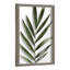 Botanical 5F by Amy Peterson Framed Glass Wall Art-938200327-808525941