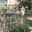 Treillis de jardin en métal Fiarmont 71 po x 19,7 po antirouille pour plantes grimpantes
