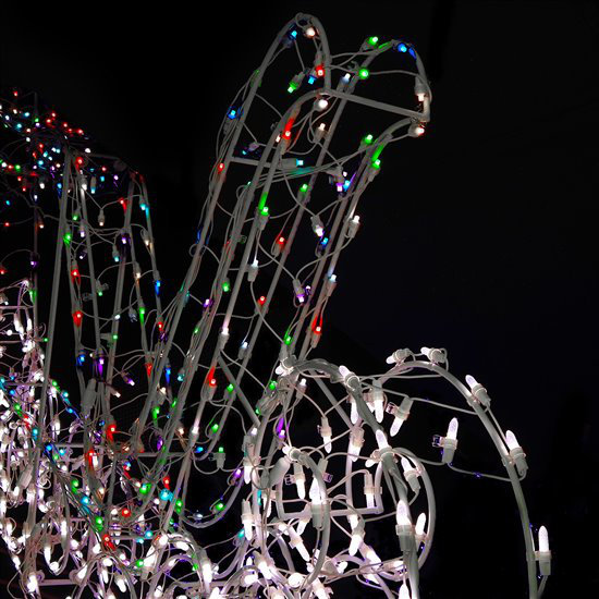 Holiday Lighting