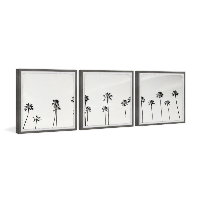 " B&W Coco Trees " 3 - Pieces, 18" H x 18" W