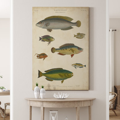" Ichthyology II "