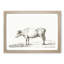 The Portrait of a Cow by Jean Bernard - Picture Frame Drawing Print-55640193-55640196