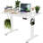 Electric Height Adjustable Standing Desk with Hooks-1887789152-1893324577