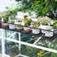 Plant Stand-81211101
