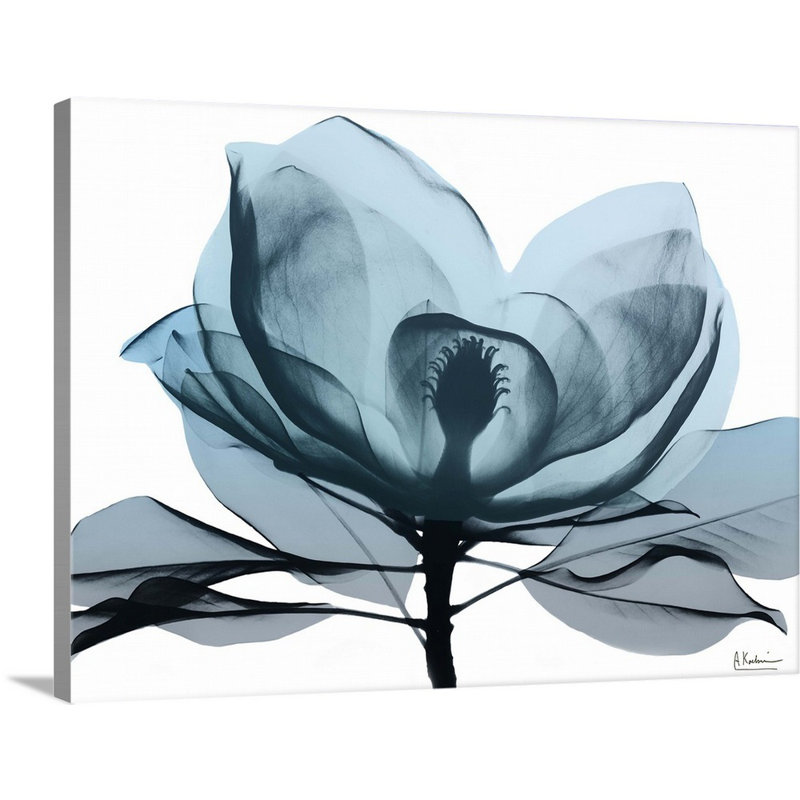 " Midnight Magnolia II " by Albert Koetsier, Wrapped Canvas, 36" H x 48" W x 1.25" D