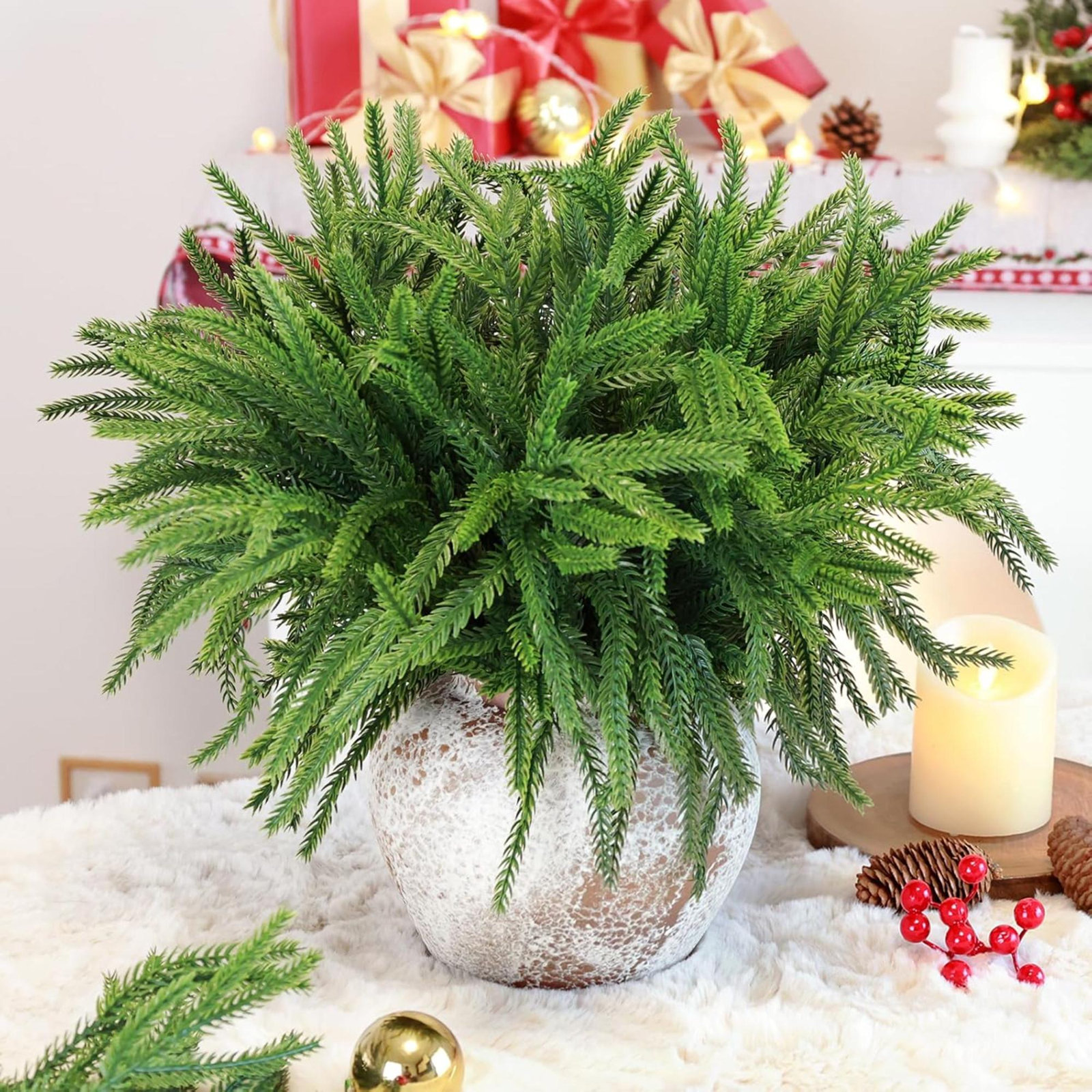 Norfolk Pine Branch