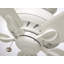 Ventilateur de plafond standard avec commande murale-211039216