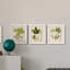 Feuilles antiques IV - ensemble de 3 peintures sur toile encadrées-1306045717-1306045718