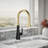 Tone Single Handle Pull Down Kitchen Sink Faucet with Three-Function Pull Down Sprayer-55233604