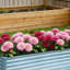 Bac à fleurs surélevé galvanisé pour plantes d'extérieur, légumes et fleurs-908684992