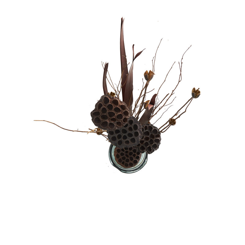 Natural Brown Dried Lotus Flower Branch Arrangement