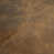 Wiley Coyote Pecan selected