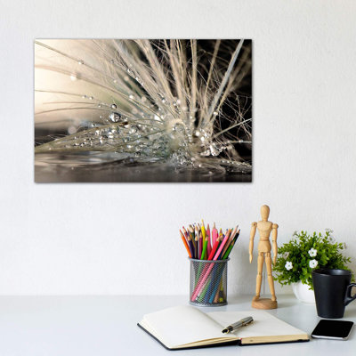 Pearls by Maryam Zahirimehr - Wrapped Canvas Print