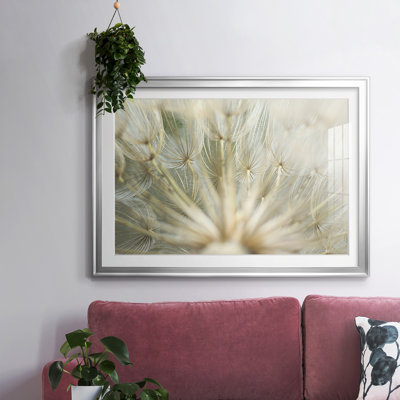 Macro Dandelion IV, reproduction d'art encadrée