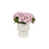 Rose sélectionné