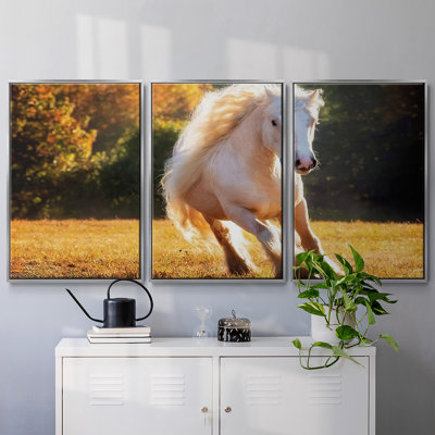 Horse Motion IV - 3 pièces, reproduction sur toile