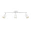 Ensemble d'éclairage sur rail 21 po 3 lumières standard 21 po-92379684