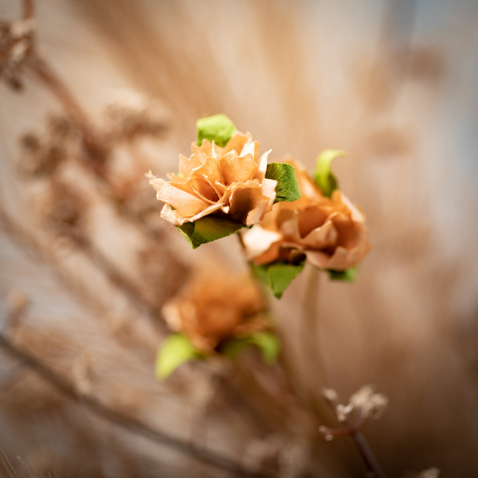 Pampas Grass Berry Stems