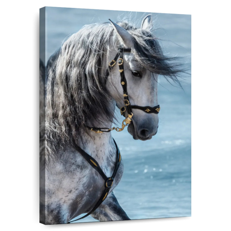 Brampt Equine, 30" H x 20" W