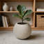 Pot à fleurs moderne avec minimaliste Mgo