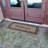 Rickett Non-Slip Mardi Gras Outdoor Doormat