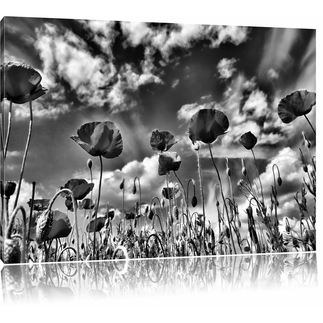 Leinwandbild Wundervolle Wiese mit roten Blumen in Monochrom