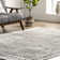 Akimitsu Southwestern Gray Area Rug
