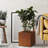 Wabbaseka Planter Box-1912506331-1893536845