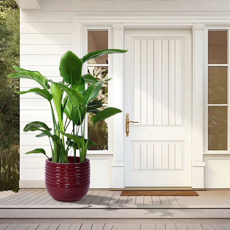 Ensemble de 3 pots à fleurs en céramique rouge pour intérieur et extérieur, design moderne avec finition brillante, toutes saisons, jardinière de 14,79 po x 12,19 po, 42,02 lb