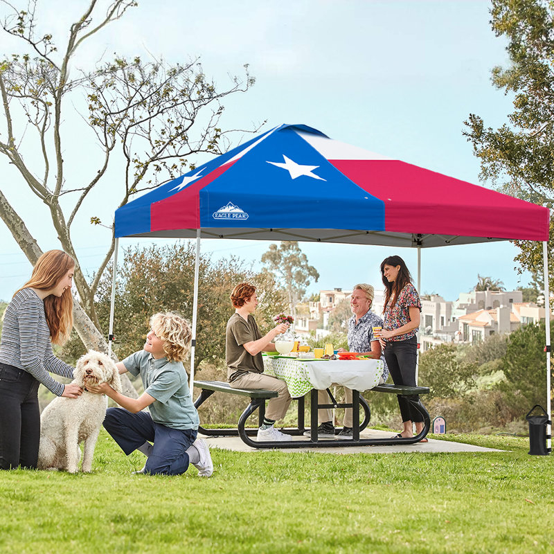Pop Up Canopies 10 Ft. W x 10 FT. D Metal Party Tent Canopy, Texas Flag