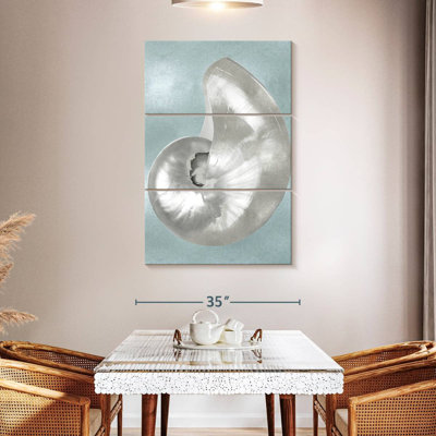 Silver shell on aqua blue i Aletra