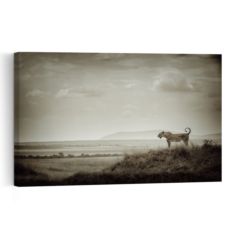 Lioness Overlooking Savanna Vintage Abstract Cat Lion Landscape Nature Wall Art Print 1 Piece Wrapped Canvas Wall Art