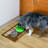 Perro & Gato Anti-Skid Placemat