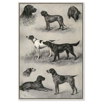 Generations of Dogs II Canvas Animal Line Art by Art Remedy