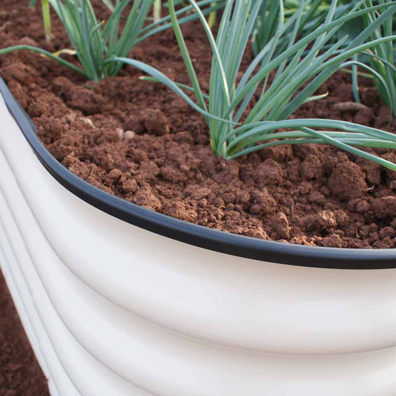 Swepson Metal Raised Garden Bed