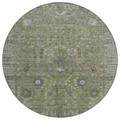 Machine Washable Indoor/Outdoor Kaczor ACN2231 Global Rug