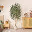Olive artificielle Ashwell avec pot blanc -155919475