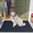 Non-Slip Outdoor Doormat-454365391-444785139