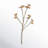 Illicum Arrangement