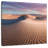 Alvord Mesquite Flat Dunes-109388314