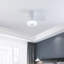 Ventilateur de plafond à DEL 22 po