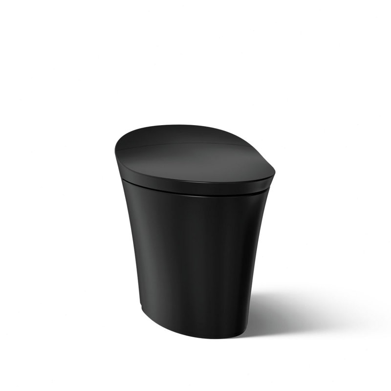 Veil Comfort Height Intelligent Skirted One-Piece Elongated Dual-Flush Toilet, Black
