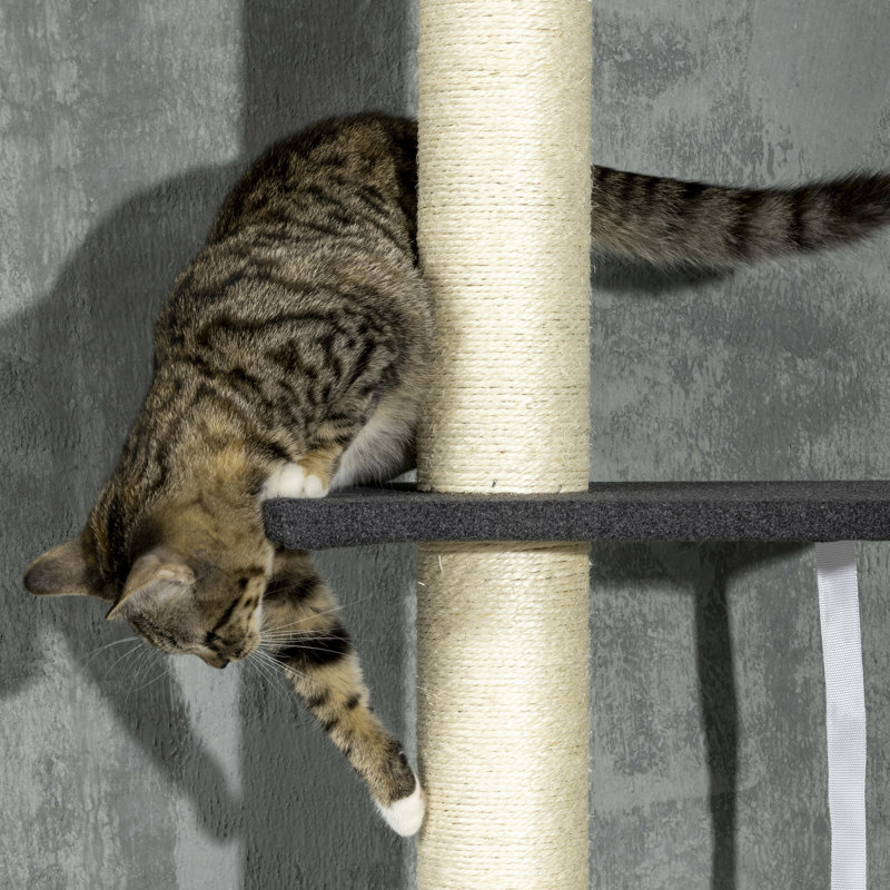 609.6cm H Cat Tree