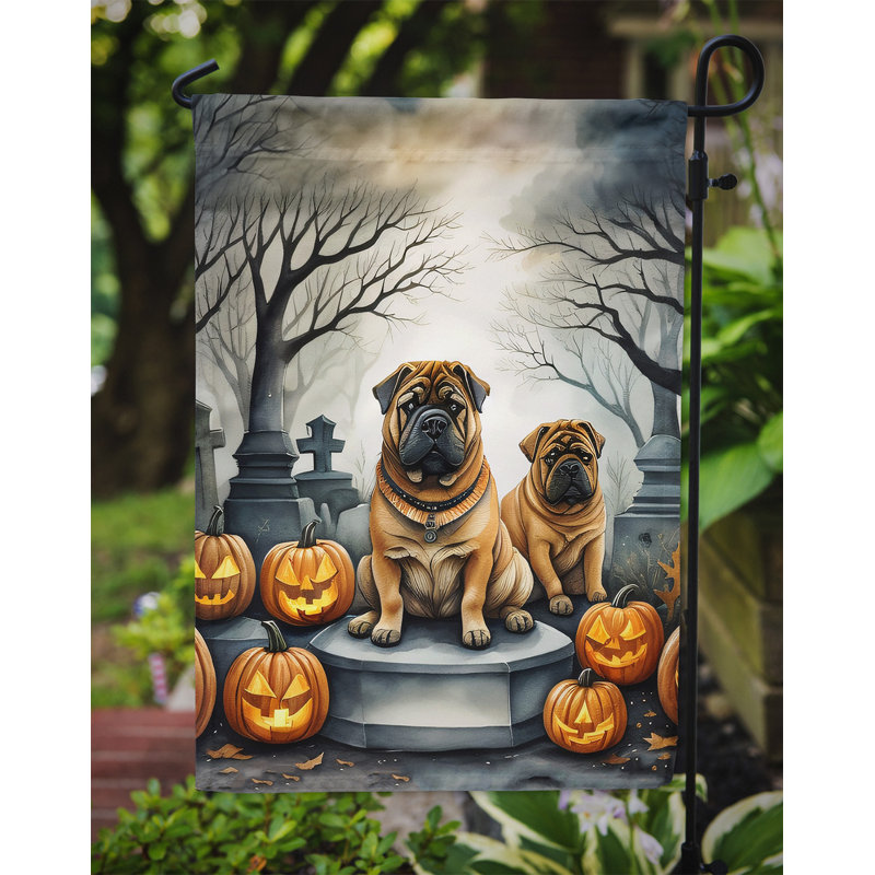 Double Sided 15.5'' H x 11.25'' W Polyester Halloween Garden Flag