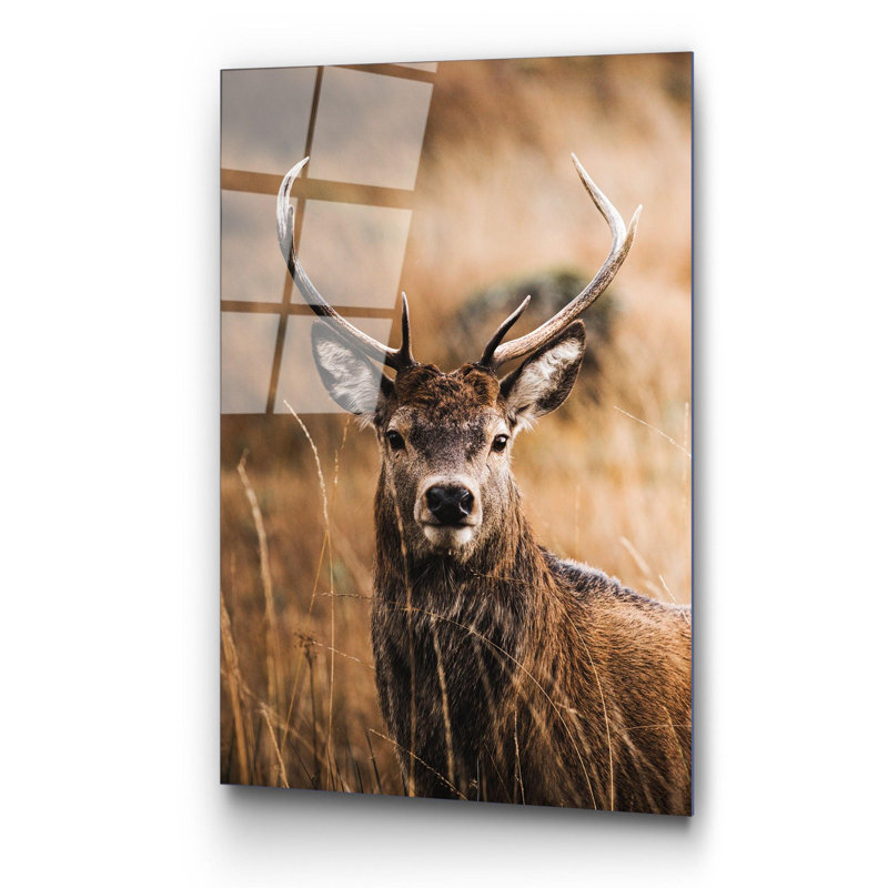 Boze Wall Decor