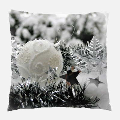  Coussin Winter
