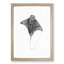 Illustration of a Ray Fish - Picture Frame Drawing Print-55579531-55579530